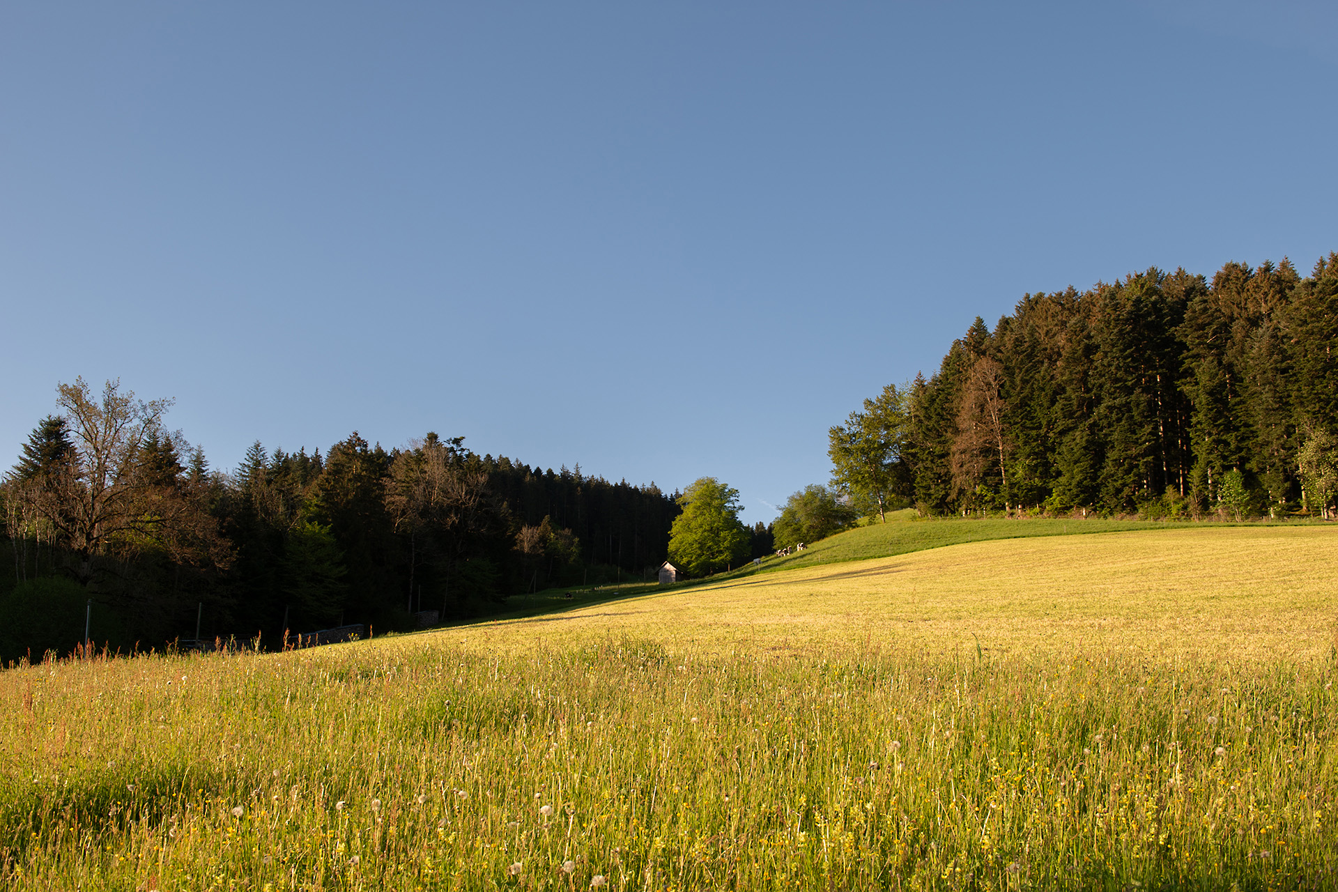 Stromkennzeichnung